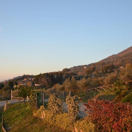 Locazione Turistica Villa Delle Rose Asís Exterior foto