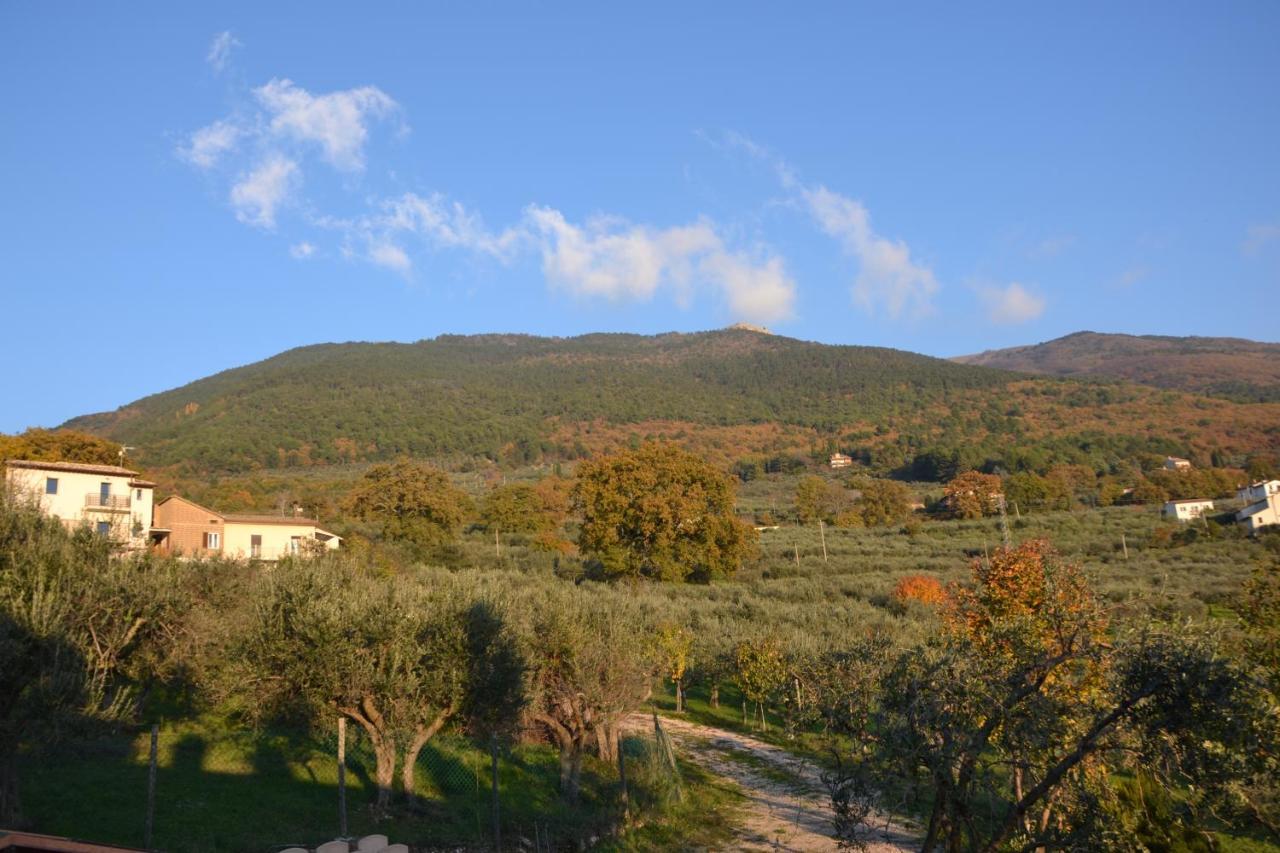 Locazione Turistica Villa Delle Rose Asís Exterior foto